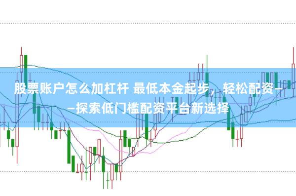 股票账户怎么加杠杆 最低本金起步，轻松配资——探索低门槛配资平台新选择